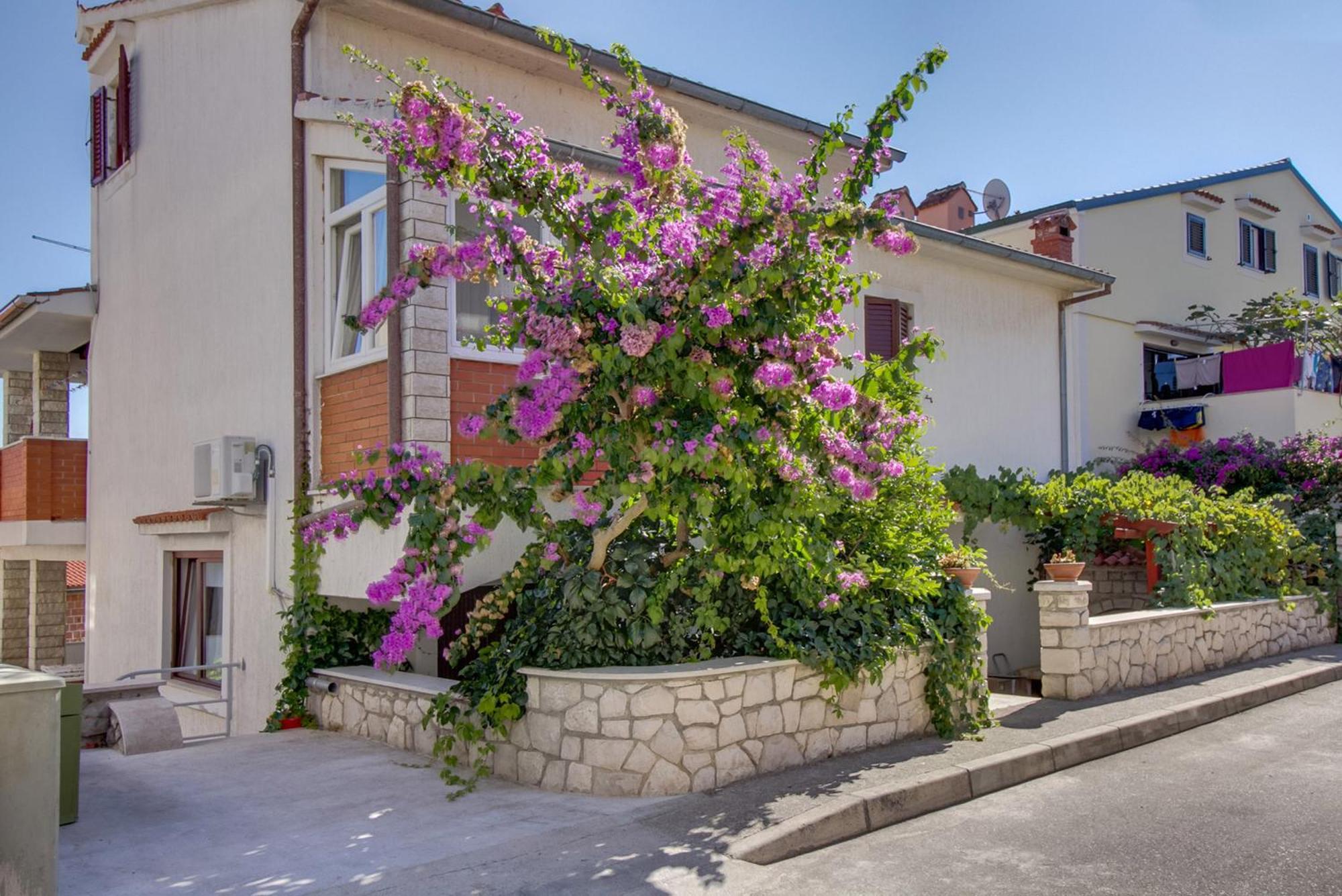 Apartments Suzana Mali Lošinj Eksteriør bilde
